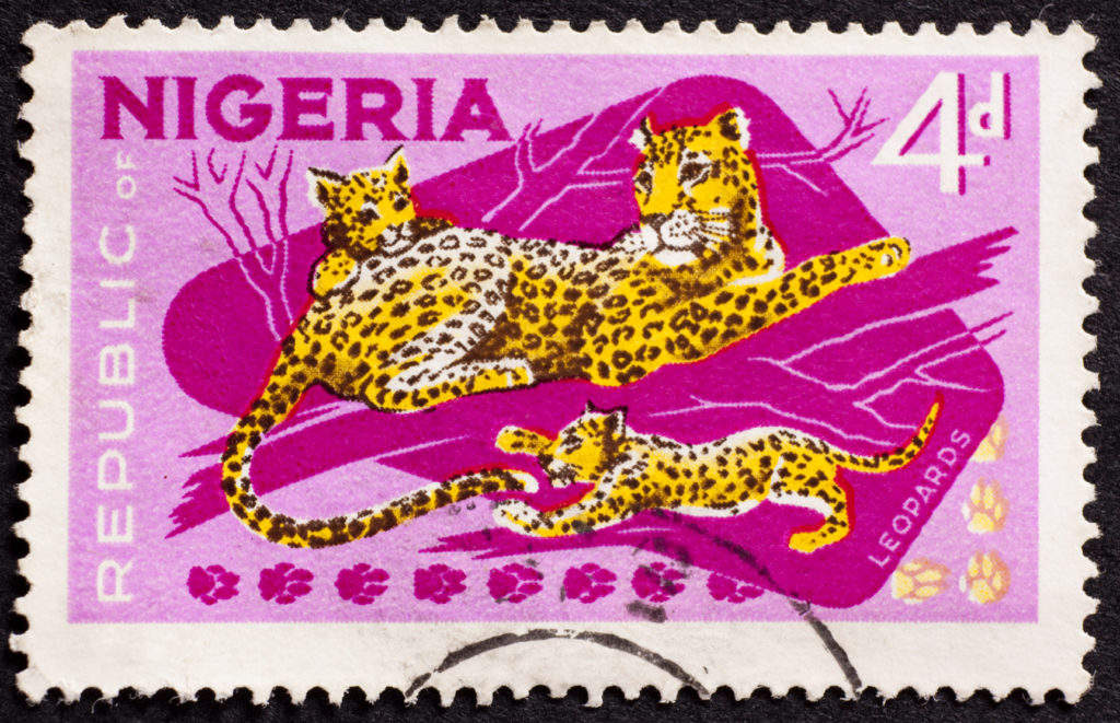 Nigeria raises maximum daily limit on prepaid cards Cards International