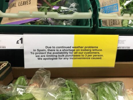 UK supermarkets hit tip of the iceberg as lettuce shortage escalates