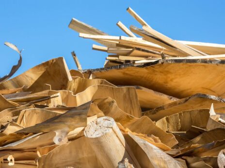 In the global search for renewable energy, biomass could offer more problems than solutions