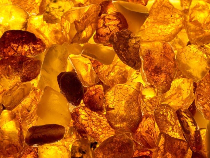 Baltic gold rush: illegal amber mining in Russia and Ukraine is destroying the environment