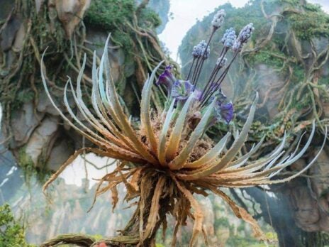 Here's what you need to know about Disney's new Avatar-inspired theme park