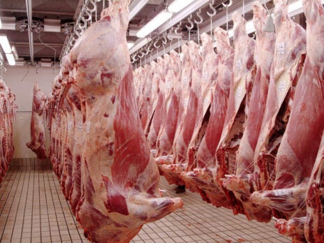 Animal welfare concerns clash with religious freedom as Belgium bans unstunned slaughter