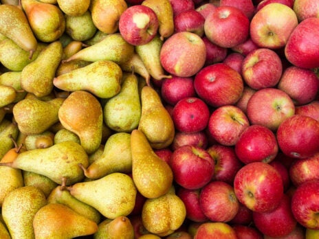 Fruit shortage: UK consumers could find it harder to buy apples, pears and plums
