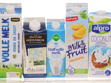 EU court outlaws dairy-style names for soya and tofu products