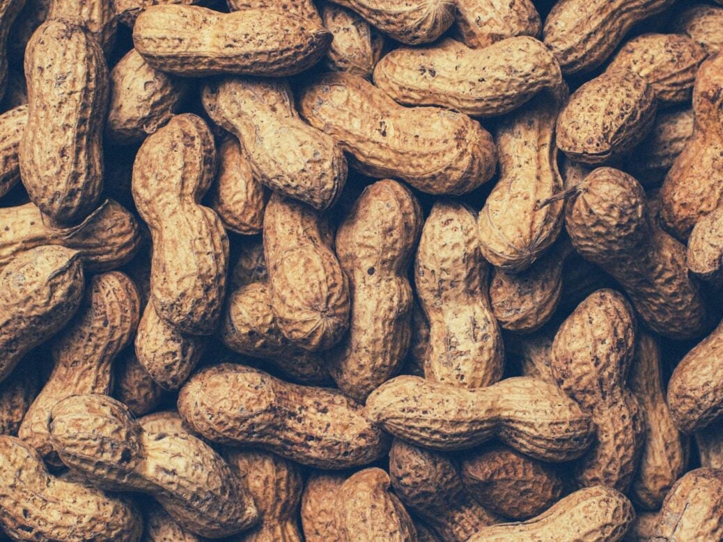 Peanut allergy - Verdict