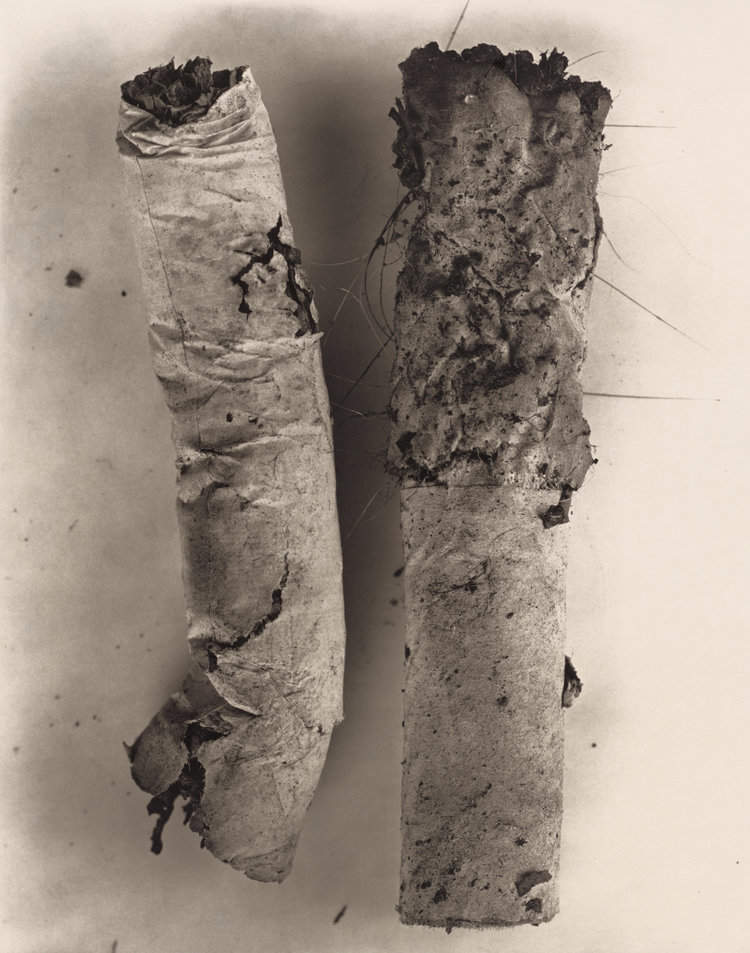 Irving Penn - Verdict