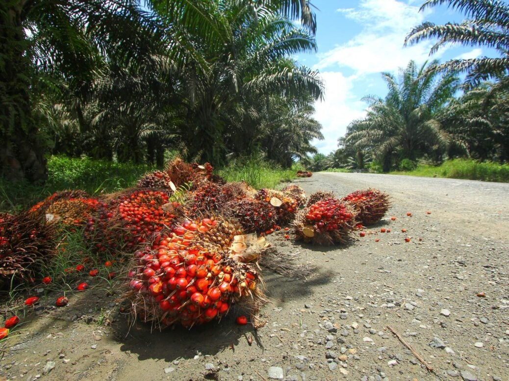 EU palm oil vote