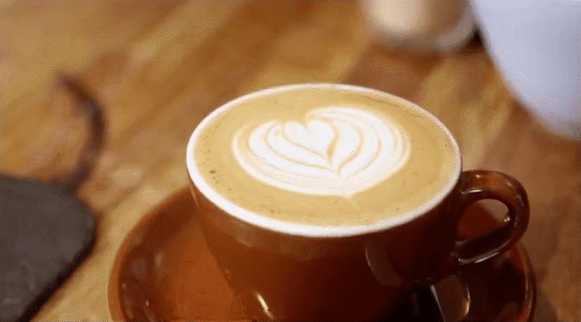 bean to cup - Verdict