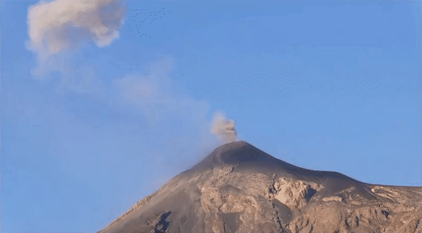 bean to cup - Verdict