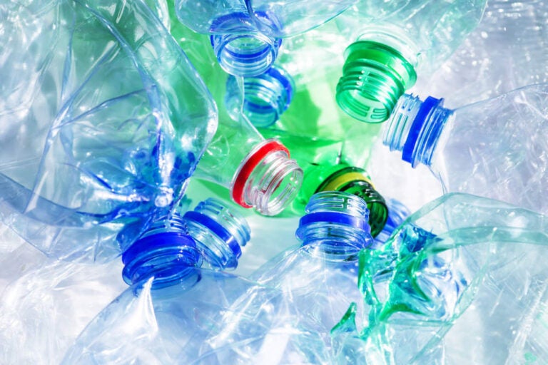 How plastic bottle deposit schemes work around the world Verdict