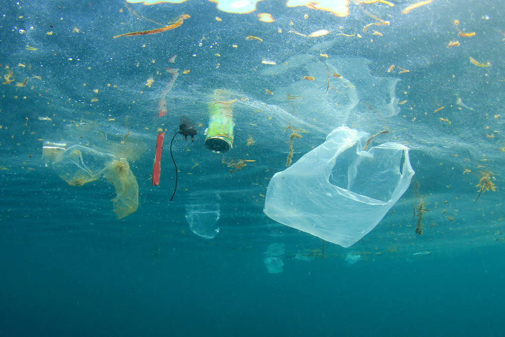 Plastic waste in ocean is set to treble in a decade - Verdict