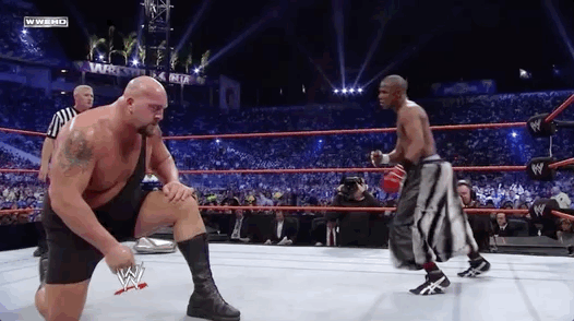 WWE WrestleMania - Verdict