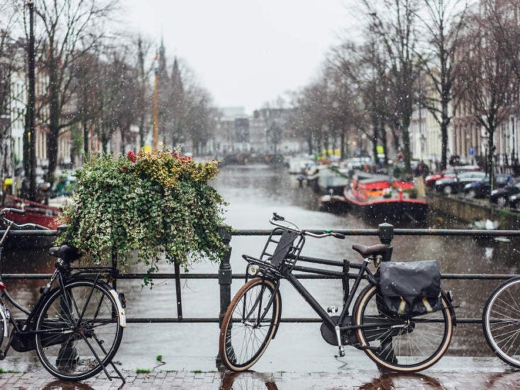 The Dutch economy grew this year, but by less than expected