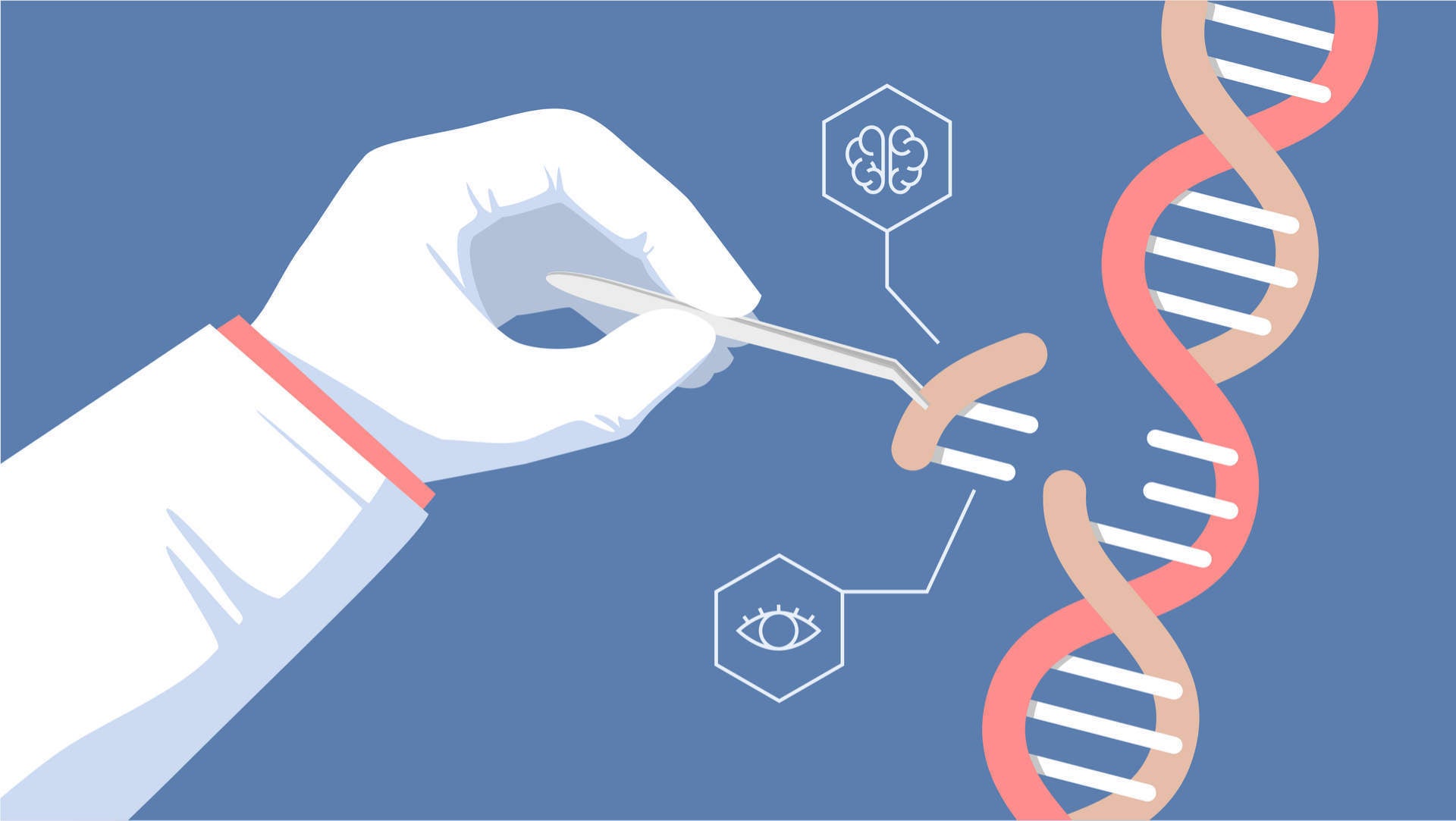 CRISPR Cas9 human gene editing