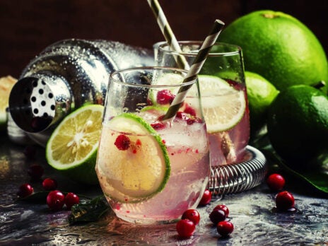 Gin and tonic team up for masterclasses in London this summer