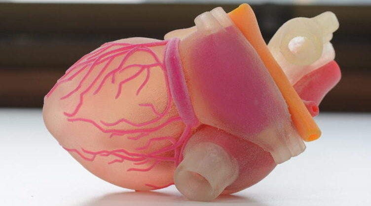 3D printed organs - verdict