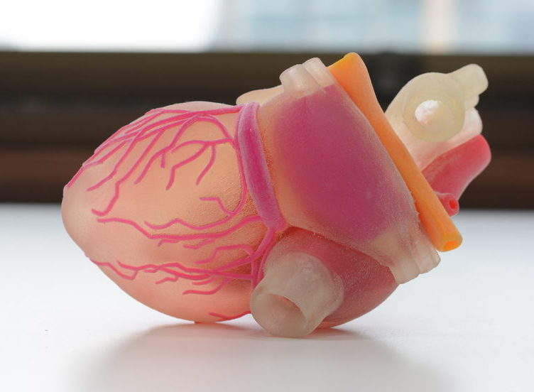 How close are 3D printed organs to reality?
