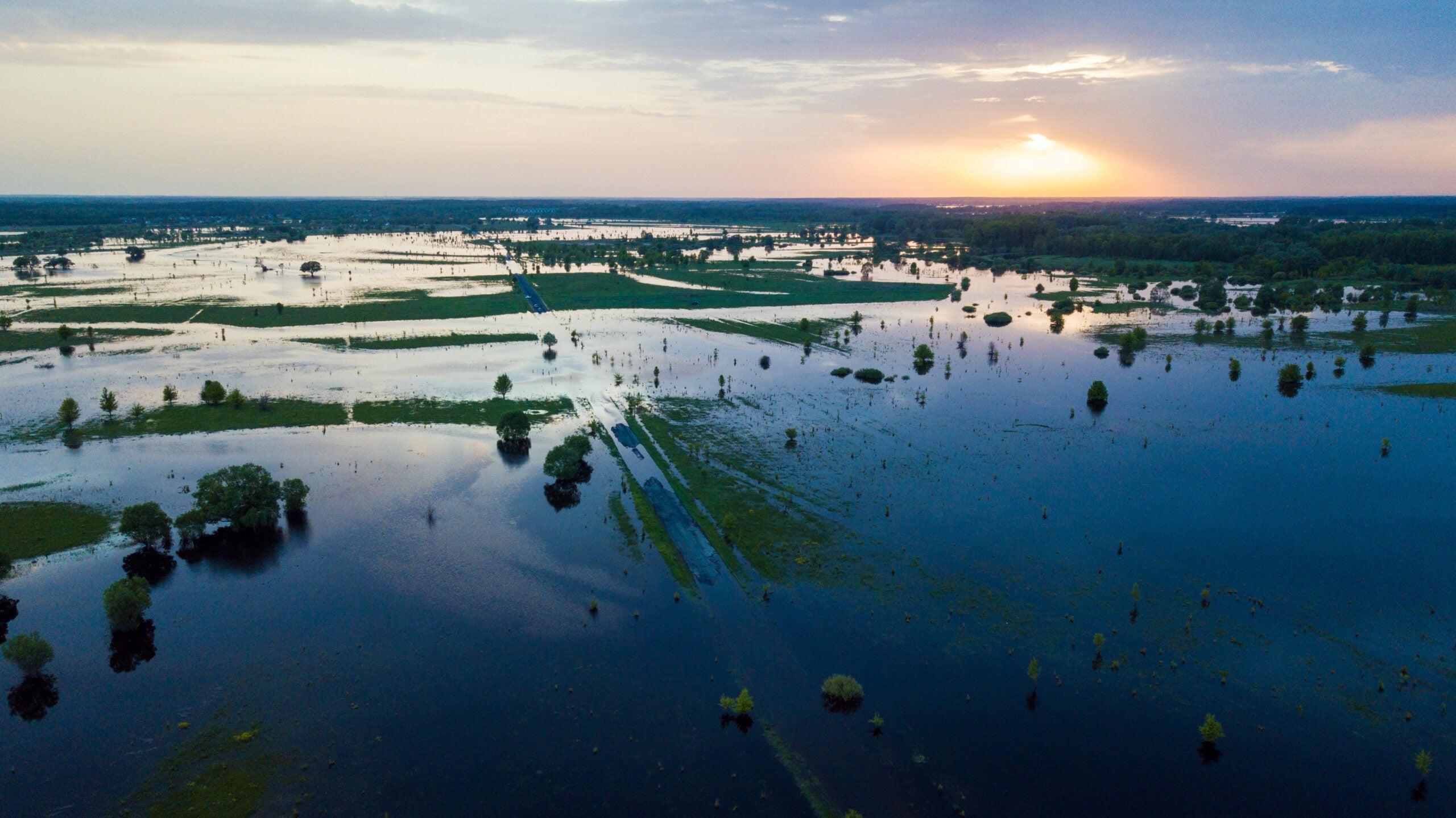 Вода затопила луга. Затопляемые Луга в Эстонии. Затопленный луг. Wide Flood угол. Дунё океанлари.