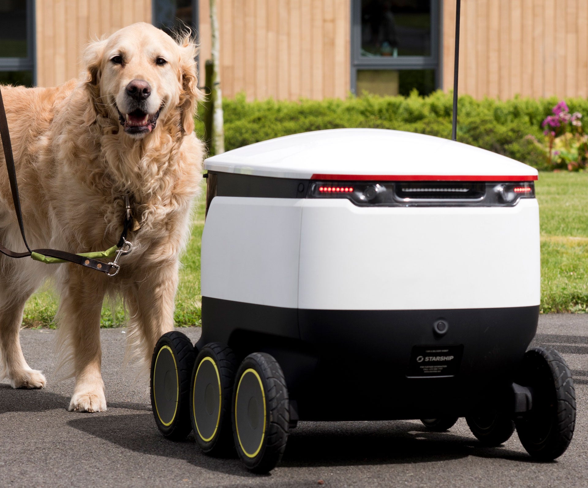 guide dogs and delivery robots from Starship Technologies