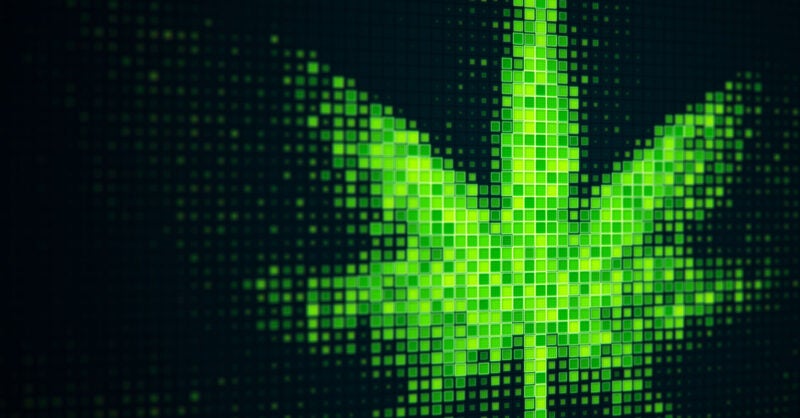 medical cannabis, AI and DNA sequencing