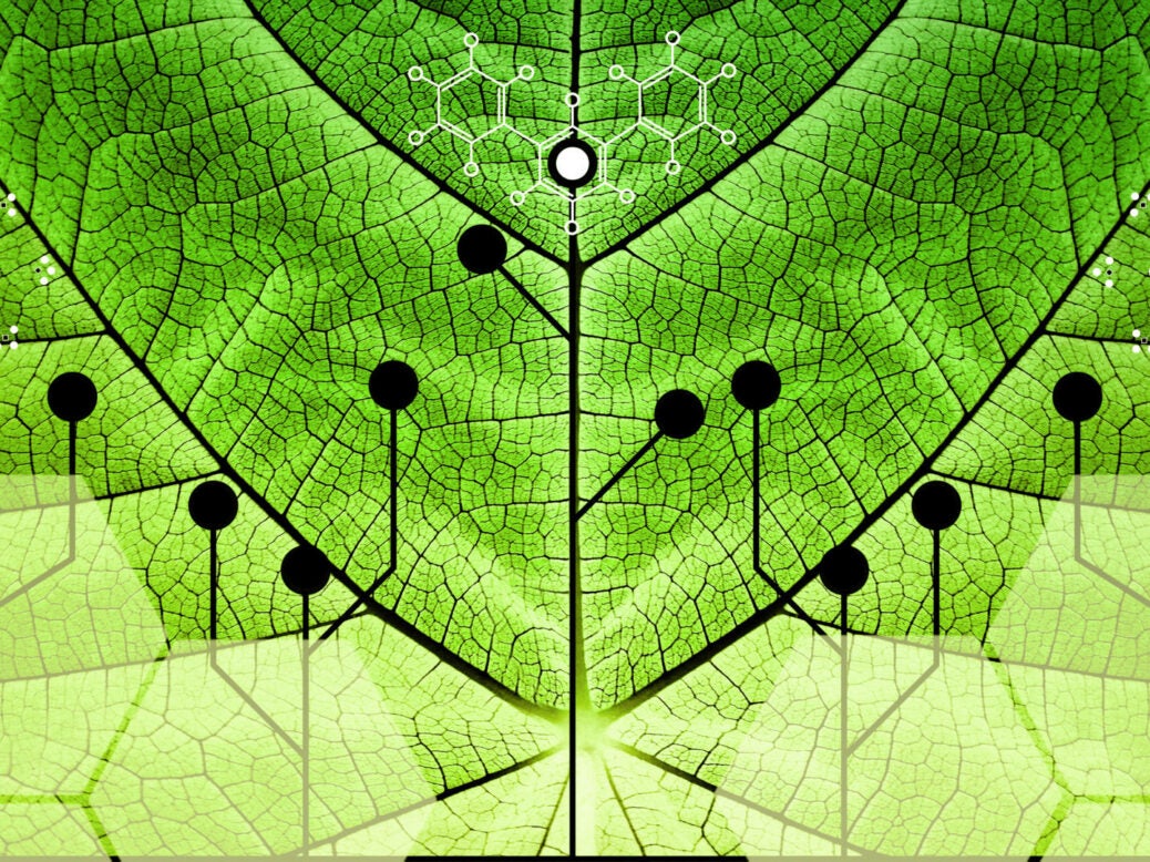 nanomaterial plants