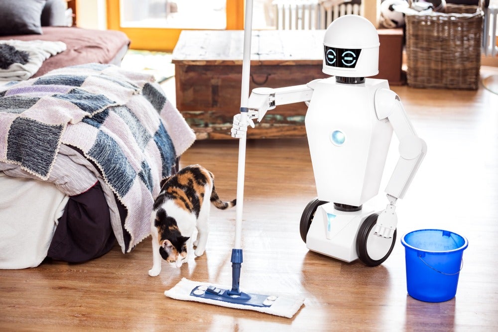 Domestic robots 2019: Do Japanese bots 