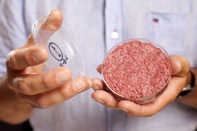 Meat revolution: Mosa Meat's cultured burger