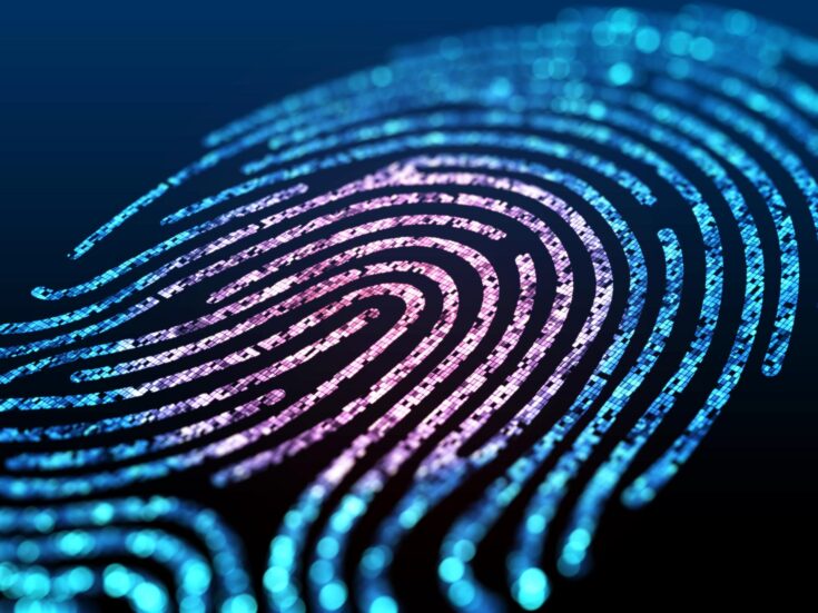 Smile and wave: The global race to biometric adoption