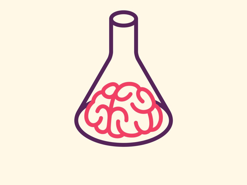 lab-grown mini brain