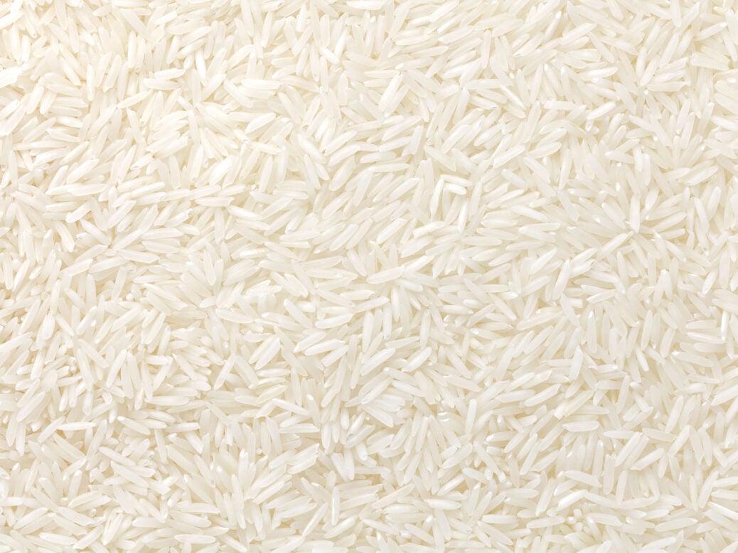 genetically modified rice