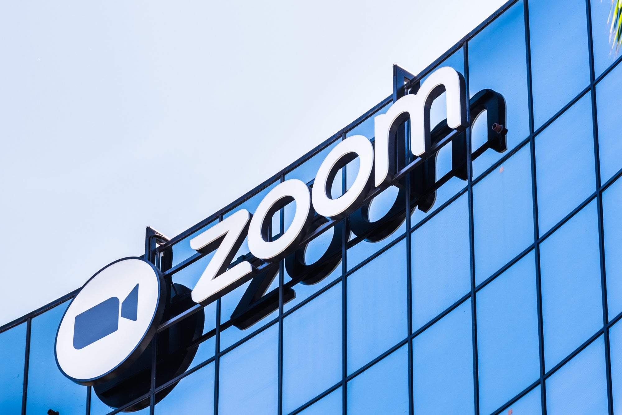 Zoom CEO