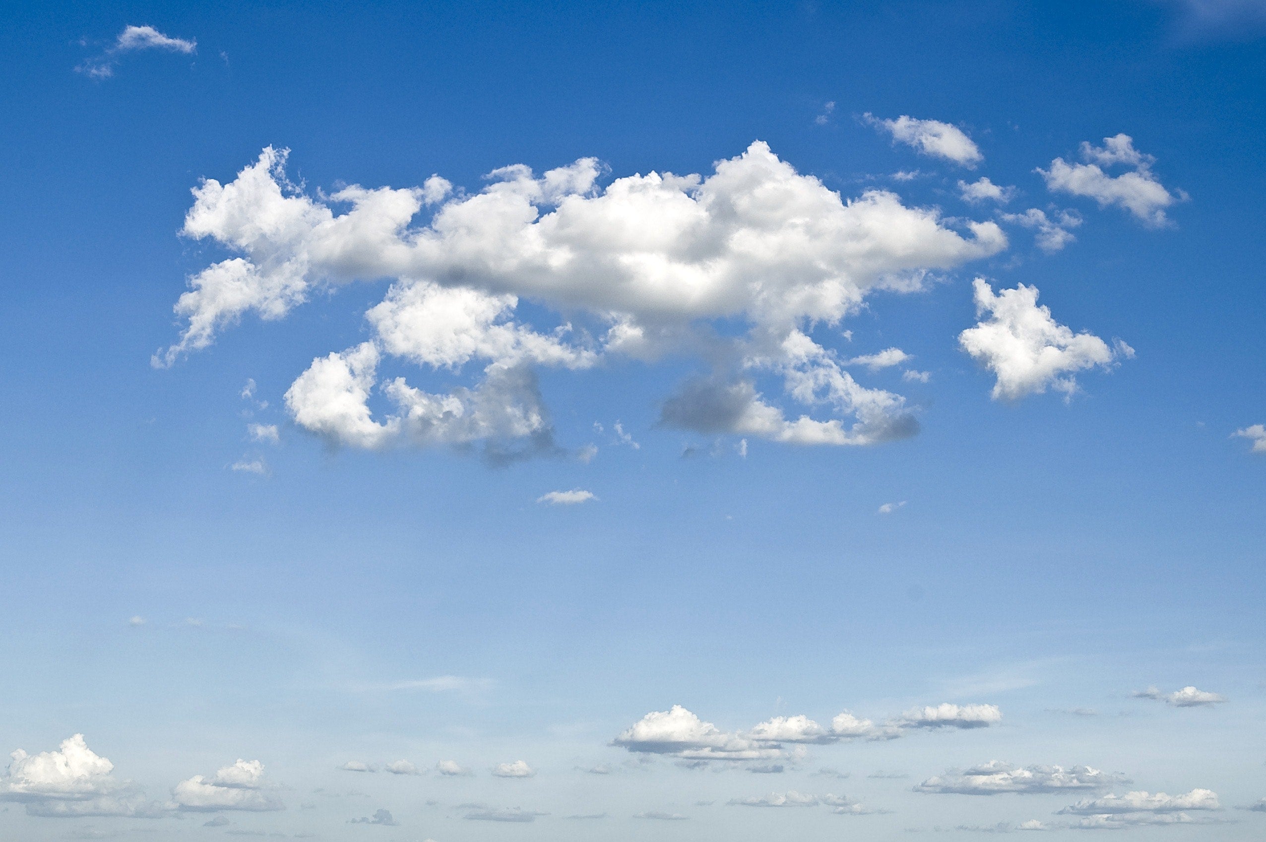 Cloud computing has become a favourite topic in company listings