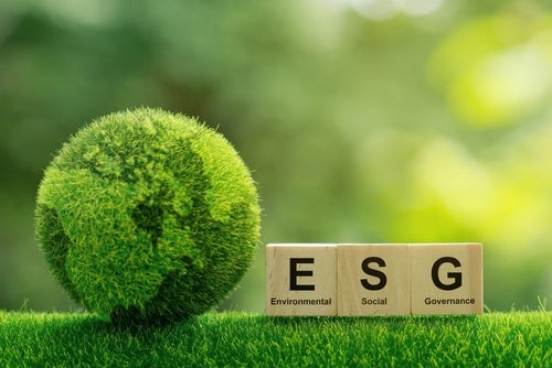 ESG activism