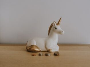 Japanese payments processor Opn secures unicorn status after $120m funding