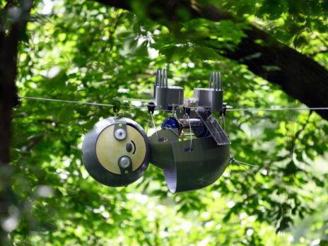SlothBots, SnotBots, and Robobees: The role of robotics in conservation