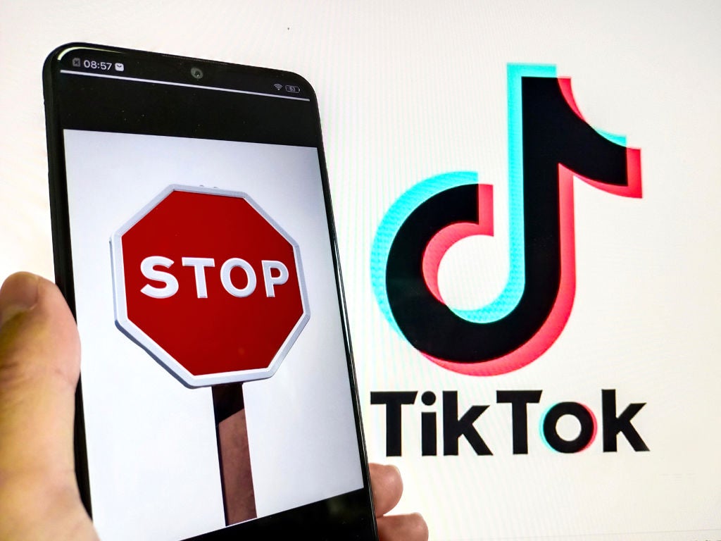 FCC commissioner says US should ban TikTok: Report - ABC News